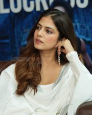 Heroine Malavika Mohanan at The Raja Saab Blockbuster Meet Photos 15