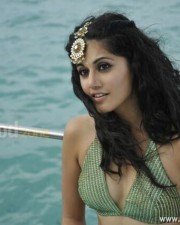 Taapsee Pannu 59 Hot Actress Tapsee Photos