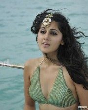 Taapsee Pannu 56 Hot Actress Tapsee Photos