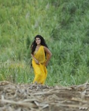 Taapsee Pannu 53 Hot Actress Tapsee Photos