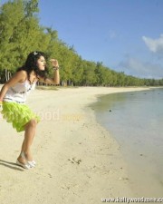 Taapsee Pannu 40 Hot And Sexy Actress Tapsee Pictures