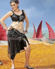Taapsee Pannu 37 Hot And Sexy Actress Tapsee Pictures