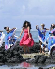 Taapsee Pannu 29 Hot And Sexy Actress Tapsee Pictures