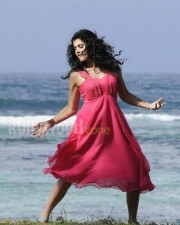 Taapsee Pannu 28 Hot And Sexy Actress Tapsee Pictures