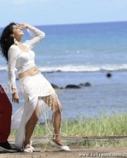 Taapsee Pannu 26 Hot And Sexy Actress Tapsee Pictures