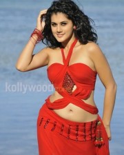 Taapsee Pannu 7 Hot And Sexy Actress Tapsee Pictures