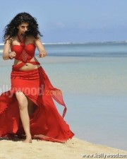 Hot And Sexy Actress Tapsee Pictures