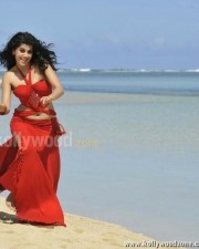 Hot And Sexy Actress Tapsee Pictures