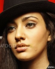 Neha Sharma 59 Hot And Sexy Neha Sharma Pics