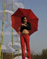 Hot And Sexy Tapsee Spicy Pictures