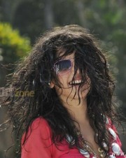 Hot And Sexy Tapsee Spicy Pictures