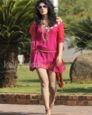 Taapsee Pannu 58 Hot And Sexy Tapsee Spicy Pictures