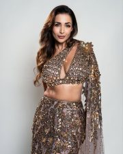 Hot Bollywood Dancer Malaika Arora in a Gold Embellished Lehenga with an One Shoulder Cutout Blouse and Long Skirt Pictures 01