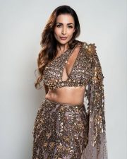 Hot Bollywood Dancer Malaika Arora in a Gold Embellished Lehenga with an One Shoulder Cutout Blouse and Long Skirt Pictures 01