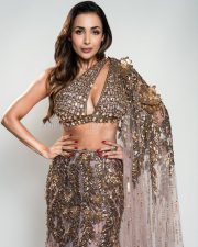 Hot Bollywood Dancer Malaika Arora in a Gold Embellished Lehenga with an One Shoulder Cutout Blouse and Long Skirt Pictures 03