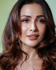 Hot Bollywood MILF Malaika Arora in a Glam Closeup Pictures 02