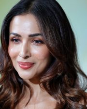 Hot Bollywood MILF Malaika Arora in a Glam Closeup Pictures 03