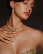 Hot Disha Patani in a Soft Gold Strapless Bodycon Gown Photos 01 Hot Disha Patani in a Soft Gold Strapless Bodycon Gown Photos 01