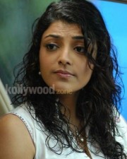 Arya 2 Kajal Agarwal Photos Gallery Hot Kajal Agarwal In Arya Movie Photos