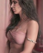Hot Katrina Kaif Navel Pictures 01