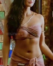 Hot Katrina Kaif Navel Pictures 03