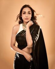 Hot Malaika Arora in a Black Saree with a Sleeveless White Blouse Photos 02 Hot Malaika Arora in a Black Saree with a Sleeveless White Blouse Photos 02