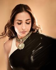 Hot Malaika Arora in a Black Saree with a Sleeveless White Blouse Photos 05 Hot Malaika Arora in a Black Saree with a Sleeveless White Blouse Photos 05