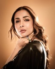 Hot Malaika Arora in a Black Saree with a Sleeveless White Blouse Photos 06 Hot Malaika Arora in a Black Saree with a Sleeveless White Blouse Photos 06