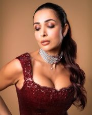 Hot Malaika Arora in a Sequined Maroon Bodycon Maxi Dress with a Thigh Slit Photos 01