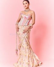 Hot Malvika Sharma in a Pastel Pink Sequined Embroidered Corset Top with Floral Embellishments and Pre Draped Saree Pictures 01