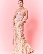 Hot Malvika Sharma in a Pastel Pink Sequined Embroidered Corset Top with Floral Embellishments and Pre Draped Saree Pictures 01