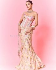 Hot Malvika Sharma in a Pastel Pink Sequined Embroidered Corset Top with Floral Embellishments and Pre Draped Saree Pictures 02