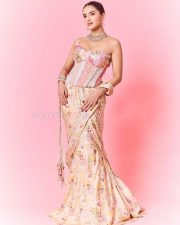 Hot Malvika Sharma in a Pastel Pink Sequined Embroidered Corset Top with Floral Embellishments and Pre Draped Saree Pictures 02