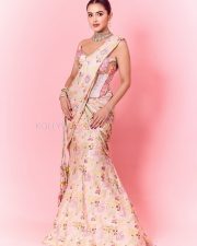 Hot Malvika Sharma in a Pastel Pink Sequined Embroidered Corset Top with Floral Embellishments and Pre Draped Saree Pictures 03