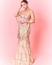 Hot Malvika Sharma in a Pastel Pink Sequined Embroidered Corset Top with Floral Embellishments and Pre Draped Saree Pictures 04