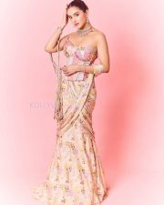 Hot Malvika Sharma in a Pastel Pink Sequined Embroidered Corset Top with Floral Embellishments and Pre Draped Saree Pictures 04