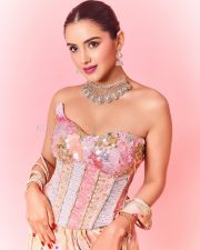 Hot Malvika Sharma in a Pastel Pink Sequined Embroidered Corset Top with Floral Embellishments and Pre Draped Saree Pictures 05