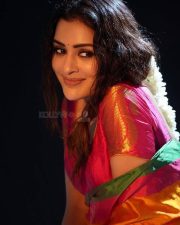 Hot Payal Rajput in a Traditional Red Blouse with a Red and Green Draped Saree Photos 01