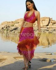 Hot Sada Stills