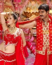 Hot Sada Stills
