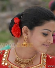 Hot Sneha Pics