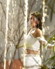 Hot Sneha Pics