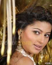 Hot Sneha Pics