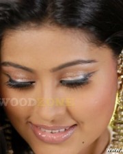 Hot Sneha Pics