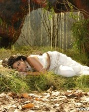 Hot Sneha Pics