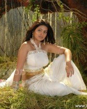 Hot Sneha Pics