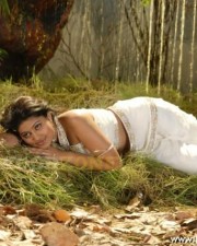 Hot Sneha Pics
