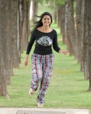 Hot Sneha Pics