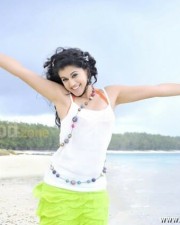 Taapsee Pannu 35 Hot Taapsee Pannu Pictures