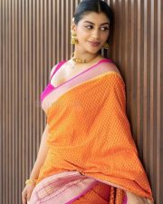 Hot Yashika Aannand in a Pink and Orange Saree Pictures 02